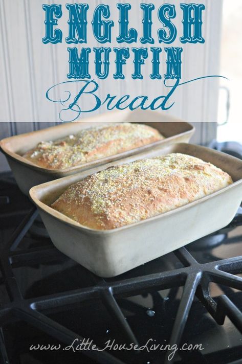 English Muffin Bread Recipe. This is an excellent recipe...no knead! Muffin Bread Recipe, English Muffin Bread Recipe, English Muffin Bread, Yummy Bread, Homemade English Muffins, Bread Sweet, School Nutrition, Homemade Breads, Easy English