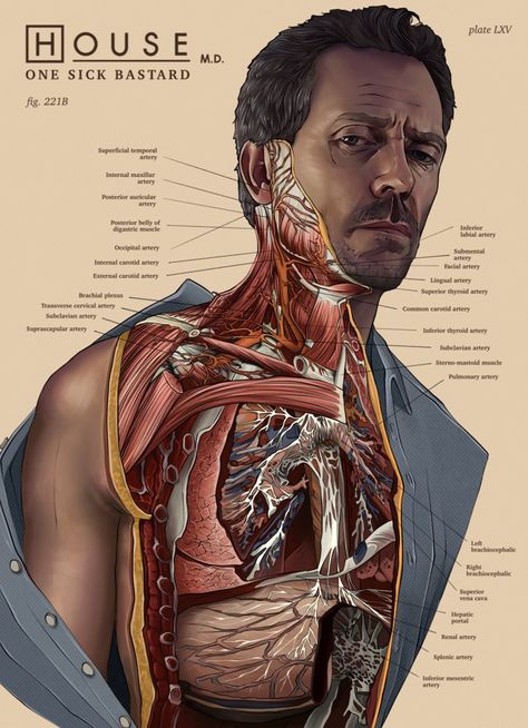 Md Fanart, Greg House, House Md Funny, House And Wilson, Doctor Shows, Robert Sean Leonard, Gregory House, House Arrest, House Md