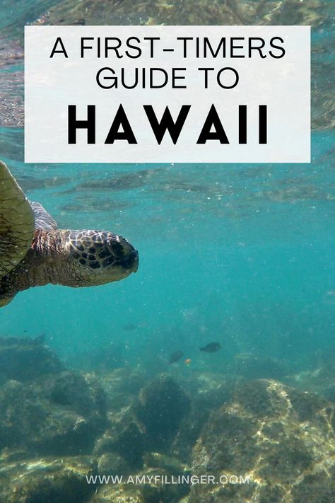 Are you planning your first trip to Hawaii? Congrats! As a Hawaii Travel Agent, I often work with first-time Hawaii visitors. I created this first-timers guide to Hawaii to help you plan the best Hawaii vacation #hawaiivacation #firsttimetohawaii #hawaiitraveltips First Trip To Hawaii, Planning A Trip To Hawaii, Best Hawaiian Island, Hawaii Trip Planning, Hawaii Cruise, Travel Hawaii, Trip To Hawaii, Hawaii Trip, Hawaii Honeymoon