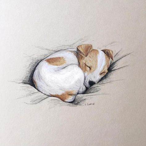 Emily Duffin Country Illustrations 27 Watercolour Animal Art, Jack Russell Sketch, Animals Aesthetic Drawing, Illustration Art Animals, Drawing Puppies, Dog Sketch Easy, Night Sky Canvas Painting, Body Canvas Painting, Dog Art Drawing