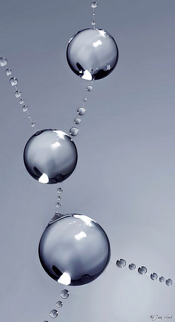 . Drip Drop, Water Photography, Dew Drops, Water Art, Macro Photos, Foto Art, Water Droplets, Rain Drops, Water Drops