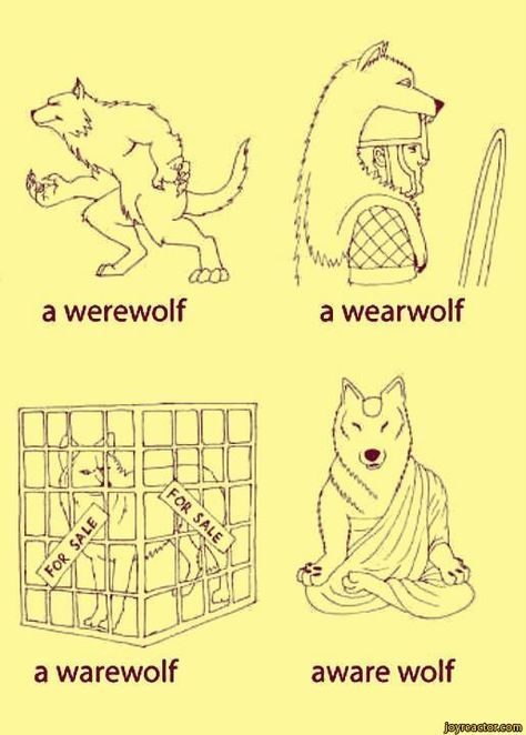 Be aware of the wolves! The Meta Picture, Top Funny, What’s Going On, Best Funny Pictures, A Train, Bones Funny, Dankest Memes, Puns, Funny Pictures