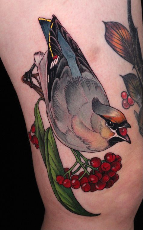 Bird tattoo #birds #cedarwaxwing #tattoo #tattooideas #illustration #neotraditional #aesthetic #ameliefleury Amelie Fleury tattoos @ameliefleury instagram Bird And Berries Tattoo, Neo Traditional Tattoos Bird, Cedar Waxwing Tattoo, Waxwing Tattoo, Neotraditional Bird Tattoo, American Traditional Bird Tattoo, Neo Traditional Bird Tattoo, Neo Traditional Bird, Bird Tattoo Color