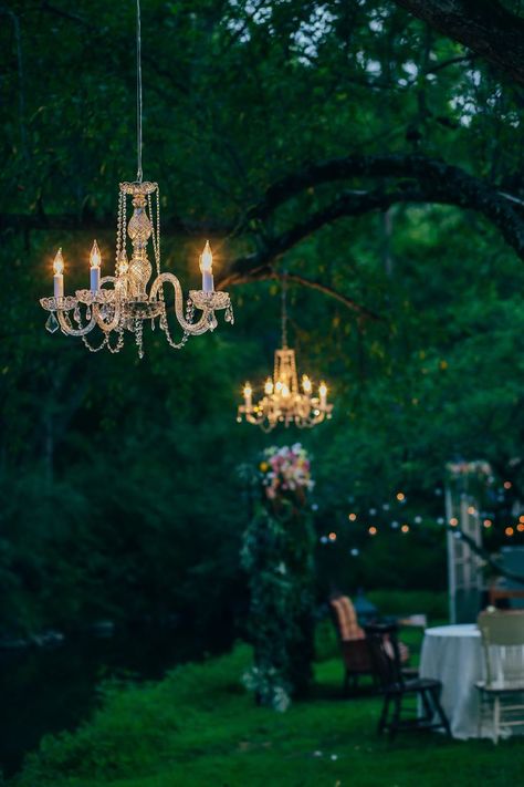 Chandelier From Tree, Vintage Chandelier Wedding, Tree Chandelier Outdoor, Hanging Tree Lights, Hanging Tree Decorations, Chandelier Tree, Old Chandelier, Outdoor Chandeliers, Wedding Chandelier