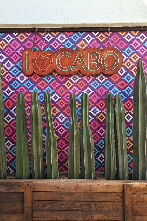 We Went to Cabo San Lucas in August: Here’s What to Expect Cabo San Lucas Aesthetic, Cabos San Lucas Mexico, Cabo Aesthetic, Cabo San Lucas Restaurants, Cabo San Lucas Beach, Cabo Trip, Cabo Resorts, Mexico Aesthetic, Hotel Card