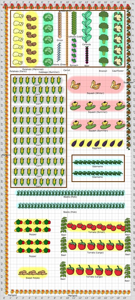 Garden Plan - Vegetable Garden 1 Vegetable Garden Plans, Vegetable Garden Layout, Gardening Projects, Garden Plan, Garden Plans, Garden Layout, Vegetable Gardening, Garden Planning, Garden Projects