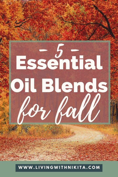 If you are looking for ways to make your home feel more like fall, check out these fall essential oil diffuser recipes. This blog post has 5 different fall essential oil diffuser recipes - many you are sure to love! Fall Essential Oil Diffuser Blends, Fall Essential Oil Blends, Fall Essential Oils, Essential Oil Diffuser Blends Recipes, Oil Diffuser Recipes, Essential Oil Diffuser Recipes, Diffuser Recipes, Essential Oil Diffuser Blends, Oil Diffuser Blends