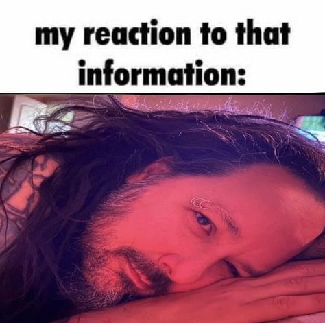 My Genuine Reaction To That, My Sincerest Reaction, My Genuine Reaction, Jon Davis, Brian Head, Jonathan Davis, Limp Bizkit, Silly Jokes, I Have A Crush