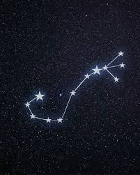 Everything There Is to Know About the Scorpius Constellation Scorpius Constellation, Star Constellations, Cursed Child, 로고 디자인, Design Inspo, Constellations, The Uk, Celestial Bodies, Stars