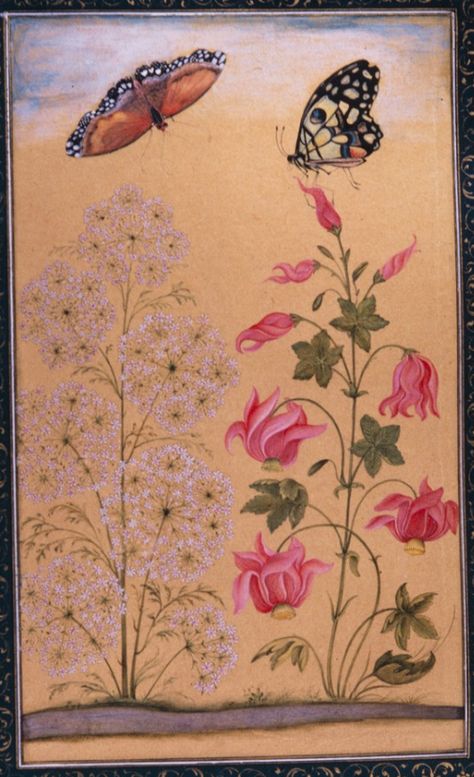 a pair of large butterflies alighting flowering plants; 1630-40 mughal, dara shikoh album. british library, london Dara Shikoh, Satanic Verses, Mughal Flowers, British Library London, Abstract Floral Artwork, Shah Jahan, Mughal Art Paintings, Mughal Art, Mughal Paintings