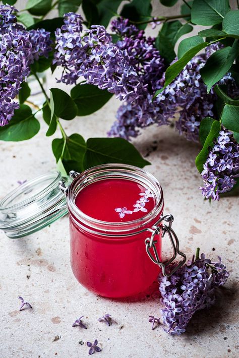 A simple cold-infused lilac syrup, made with honey and seasonal blossoms. This has a delicate floral flavour and is wonderful in drinks. Lilac Infused Honey, Lilac Syrup Recipe, Lilac Lemonade, Lilac Honey, Lilac Syrup, Lilac Scent, Elderflower Cordial, Lilac Blossom, Kinds Of Fruits