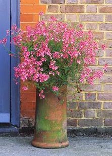 chimney pot- this is so pretty. And as other pinners commented, it would make a neat base for a homemade birdbath. Chimney Pot Planter, Old Chimney, Chimney Pots, Garden Containers, Container Flowers, Flower Planters, Country Gardening, Container Plants, Garden Styles