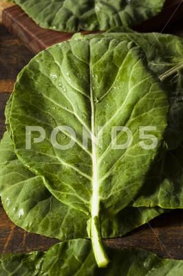 Raw organic green collard greens Stock Photos #AD ,#green#organic#Raw#collard Collard Plant, Cabbage Worms, Classic Meatloaf Recipe, Organic Mulch, Vegan Meal, Food Info, Organic Produce, Collard Greens, Kitchen Inspo