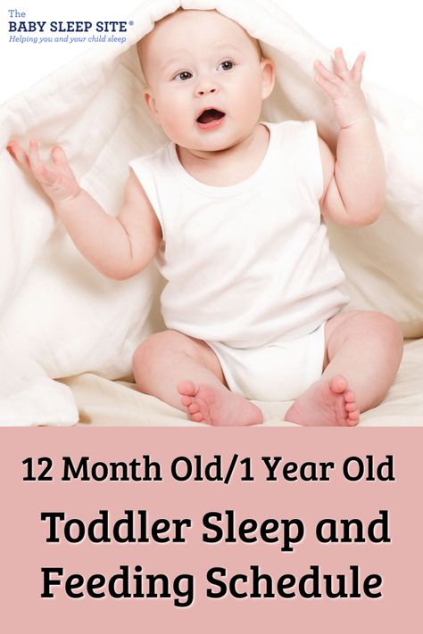 This article outlines the average 12-month-old / 1-year-old toddler schedule, including feedings, solids, naps and night sleep. #toddlers #babysleep #babyschedule #parenting 12 Month Old Schedule, Toddler Sleep Regression, Newborn Sleep Schedule, Sleep Book, Baby Feeding Schedule, Toddler Schedule, Baby Schedule, Baby Sleep Schedule, Baby Nap