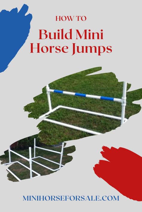 How to Build Mini Horse Jumps ⋆ Little America Miniature Horses Hobby Horse Jumps, Mini Horse Tack, Miniature Horse Tack, Horse Jumps, Diy Dog Toys, Miniature Horses, Horse Show Clothes, Hobby Horses, Pvc Pipes