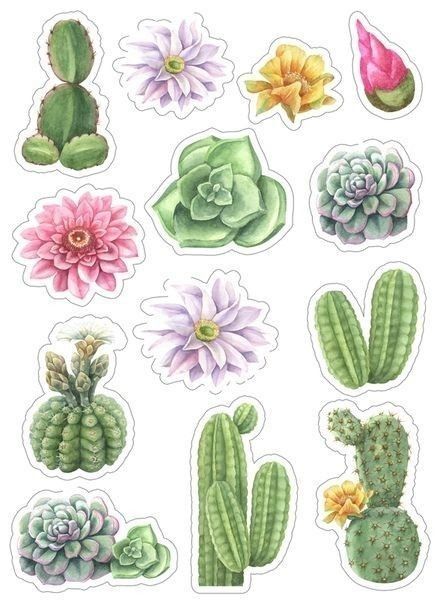 Cactus Stickers, Tumblr Stickers, Scrapbook Stickers Printable, Scrapbooking Stickers, Bullet Journal Stickers, Floral Stickers, Printable Planner Stickers, Journal Stickers, Aesthetic Stickers