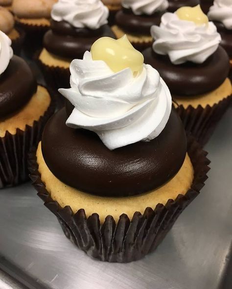 Boston Cream Pie! This is a vanilla bean cake filled with Bavarian cream, topped with fudge icing, a dollop of whipped cream and a bit more… Creme Cupcake, Boston Cream Cupcakes, Boston Cream Pie Cupcakes, Fudge Icing, Vanilla Bean Cake, Cake For Boyfriend, Vanilla Bean Cakes, Bean Cake, Bavarian Cream