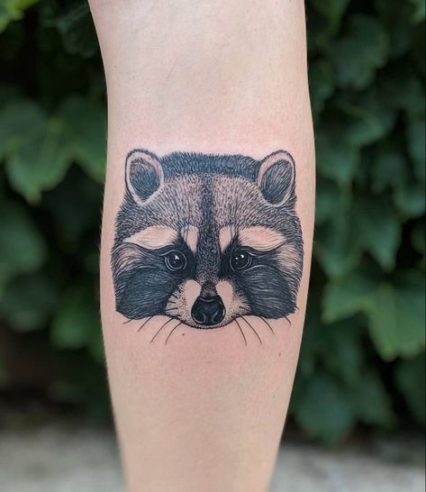 Dino Nemec raccoon tattoo Raccoon Tattoo Ideas, Raccoon Drawing, Raccoon Tattoo, Hair Stripes, Sagittarius Tattoo, Raccoon Art, Hybrid Art, Tattoo Color, Tattoo Black