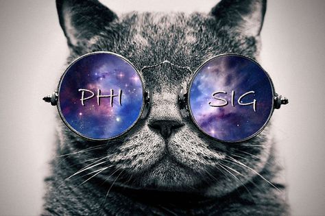 Phi Sigma Sigma cat background or cover photo Rainbow Family, Galaxy Cat, Fb Covers, Just Be You, To Infinity And Beyond, You Never Know, New People, Facebook Cover, Cool Cats