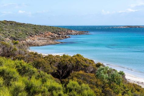 Want to see an amazing part of South Australia? Head to Lincoln National Park! Here's what you need to know Port Lincoln South Australia, Olympic National Park Ruby Beach, Wilsons Promontory National Park, Port Lincoln, Travel South, South Australia, Beautiful Beaches, Lincoln, National Park