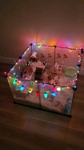 Teddy Bear Hamster Cage Ideas, Hamster Furniture, Hamster Cage Ideas Aesthetic, Hamster Cage Ideas, Kandang Hamster, Hamster Tank, Diy Hamster Toys, Pet Rat Cages, Hamster Diy Cage