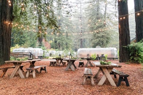 Unusual Hotels, Travel Questions, California Hikes, Camping Trailers, Russian River, Outdoor Theater, Glamping Site, Luxury Tents, Beach Reading