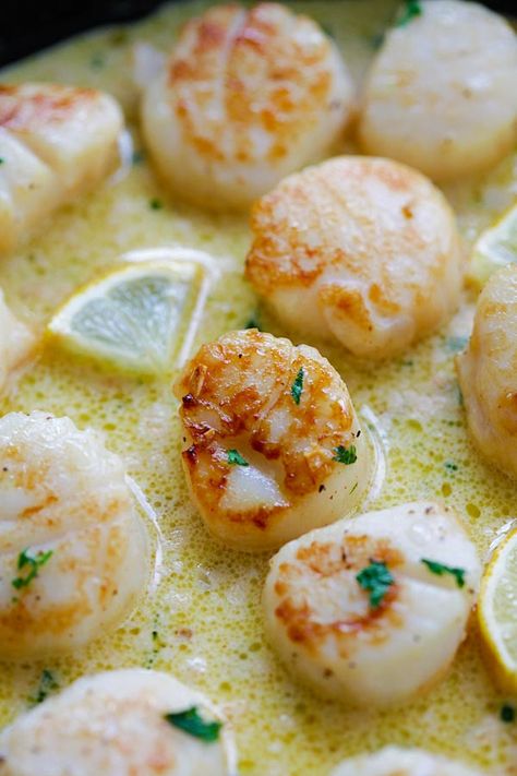 Garlic Scallops Recipe, Best Scallop Recipe, Garlic Scallops, Scallop Recipe, Scallop Recipes, Creamy Garlic, Seafood Dinner, Fish Dishes, Seafood Dishes