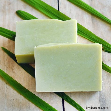 How to Make Natural Soap with Lemongrass Essential Oil Soap Making Kits, Sour Cream Chicken, Soap Making Recipes, Soap Making Supplies, Lemongrass Essential Oil, Homemade Soap Recipes, Organic Soap, Shampoo Bar, Soap Molds