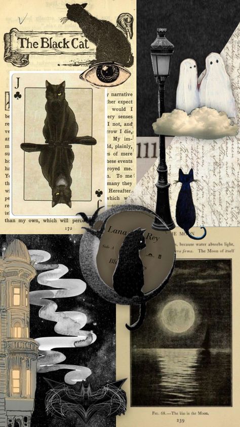 Cats >> 🐈‍⬛ #cats #vintageart #aesthetic #moodboard Black Cat Moodboard, Cat Moodboard, Black Cat Aesthetic, Aesthetic Moodboard, Cat Aesthetic, Mood Boards, Vintage Art, Black Cat, Mood Board