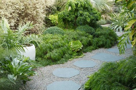 Flora Grubb Gardens on Instagram: “Acacia 'Cousin Itt' is back in stock! That's the silky shrub along the border in this garden (Flora's own garden in Berkeley). So pretty!…” Acacia Cognata, Cousin Itt, Cousin It, Ornamental Garden, Weeping Trees, Plant Store, Flora Grubb, Palm Garden, Garden Whimsy