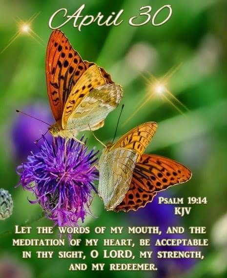 #Fr2192 #April30 2020 #Friends #Psalm19v14 KJV www.facebook.com/Judiann.F April 30 Quotes, April 29 Quotes, April 30 Prayer, April 30 Blessings, April Blessings, Jewish Holiday Calendar, December Scriptures, April Quotes, Psalm 19