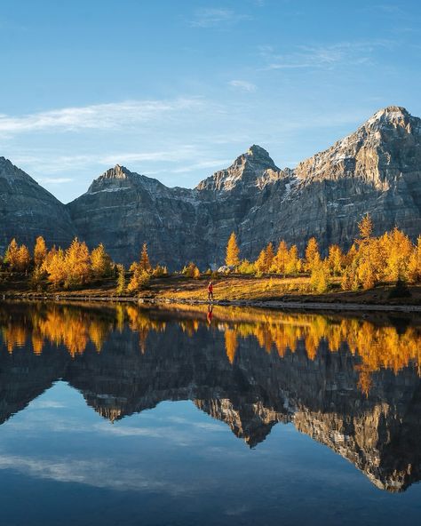 Fall in the Canadian Rockies is unmatched 🧡 Have you ever experienced fall in the Rockies? 🍂 Happy Canada Day, The Rockies, Travel Outdoors, Canada Day, Canadian Rockies, Banff National Park, Pretty Pictures, Rocky, National Parks