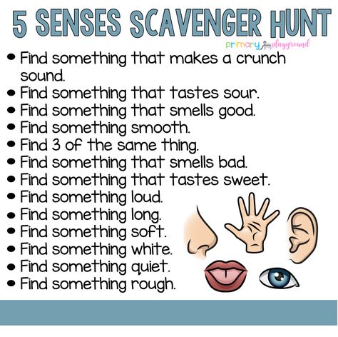 5 Senses Scavenger Hunt...know your senses. Primary Playground, Five Senses Preschool, 5 Senses Activities, Senses Preschool, Boredom Busters For Kids, Senses Activities, The Five Senses, Scavenger Hunt For Kids, 5 Senses