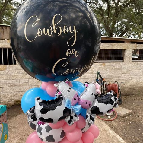 Country Theme Gender Reveal Ideas, Western Theme Gender Reveal Ideas, Cow Gender Reveal Ideas, Western Gender Reveal Ideas, Cow Gender Reveal, Cowboy Gender Reveal, Western Gender Reveal, Gender Reveal Baby Shower Themes, Cowgirl Baby Showers