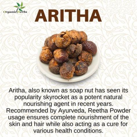 Soap Nuts, Male Fertility, Skin Hair, Diy Health, Organic Herbs, Be Natural, Health Conditions, Hair Health, Ayurveda