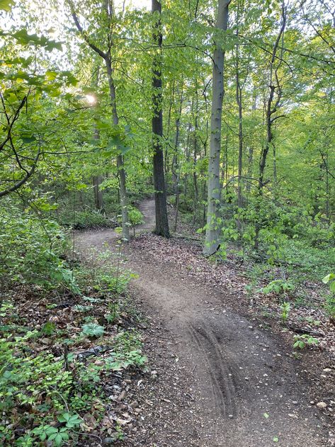 Mount Vernon District Park, Mount Vernon District Park, Alexandria, Virginia, United States of America | AllTrails.com West Virginia Vacation, Virginia Vacation, Mtb Trails, Alexandria Virginia, Fall Hiking, Mount Vernon, Walking In Nature, The Trail, West Virginia