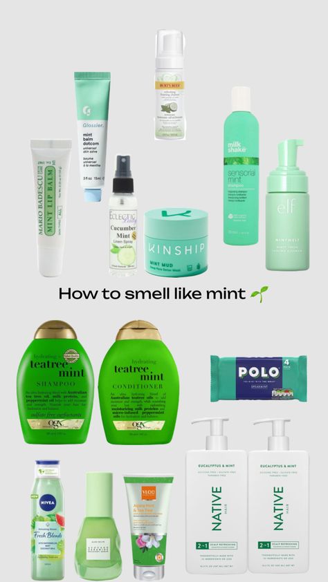 Mint Perfume For Women, How To Smell Like Matcha, How To Smell Like Mint, How To Smell Like Peppermint, Mint Skincare, How To Smell Like, Smell Combos, Mint Perfume, Scent Guide