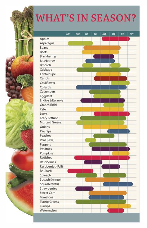 What’s In Season? Seasonal Vegetable Chart, Bee Keeping Hives, Farm Orchard, Vegetable Chart, Fruit Or Vegetable, Asparagus Beans, Whats In Season, Vegetable Farming, Turnip Greens