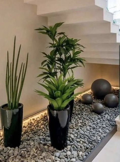 Simple Rooftop Ideas, Inner Garden Design, Plants Under Stairs, Small Garden Under Stairs, تحت الدرج, درج السلم, Staircase Design Modern, Stairs Design Interior, Inside Garden