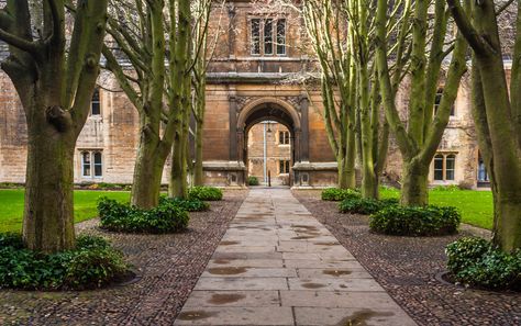 Caius College Courtyard University Courtyard, College Courtyard, Small Theatre, Cambridge England, Courtyard Design, Architecture Building Design, Theatre Design, Cambridge University, The Courtyard