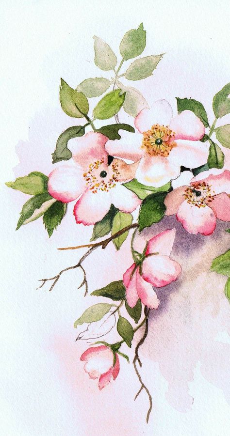 Julie Horner WATERCOLOR Canvas For Beginners, Animal Skull, Watercolour Inspiration, Easy Canvas Painting, Watercolor Flower Art, Hur Man Målar, 수채화 그림, Watercolor Flowers Paintings, Watercolor Paintings Tutorials