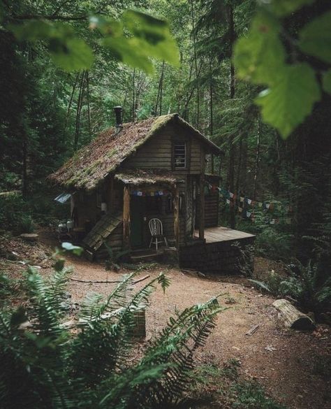 ✸This Old Stomping Ground✸ Deep In The Woods, Little Cabin In The Woods, Forest Cottage, Cabin Tiny House, Forest Cabin, Cottage Cabin, Tiny Cabin, Tiny House Cabin, Small Cabin