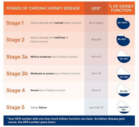 Chronic kidney disease Kidney Problems Signs, Glomerular Filtration, Healthy Kidneys, Kidney Diet, Renal Diet, Kidney Damage, Kidney Health, Disease, Linz