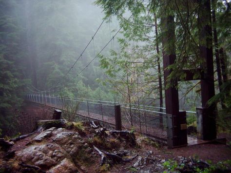 Be warned: this bridge is not for the faint of heart. It is perched 100 feet up in the air and will wobble from side to side as you make the crossing. Drift Creek Falls Oregon, Oregon Coast Hikes, Oregon Trip, Swinging Bridge, Oregon Hikes, Explore Oregon, Oregon Vacation, Beautiful Oregon, Oregon Road Trip