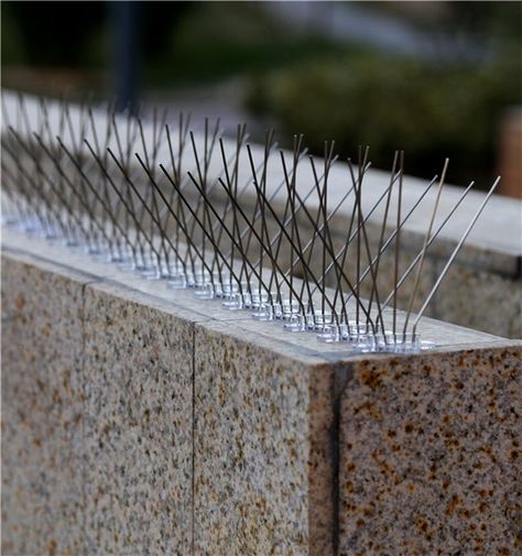 5 Rows Bird Control Product Plastic Anti Pigeon Spikes Driveway Fence, Bird Control, Cat Fence, Gate Wall Design, Stone Fence, House Fence Design, Garden Netting, Contemporary Living Room Furniture, Security Fence