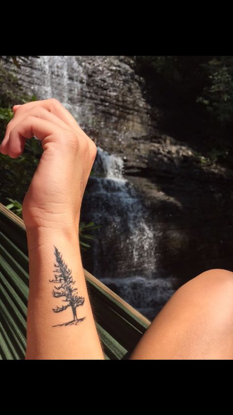 Redwood Tree Tattoo meaning  longevity, forever, protection, and constantly learning. Redwood Tree Tattoo, Redwood Tattoo, Tree Tat, Tree Tattoo Meaning, Family First Tattoo, Tattoo Tree, Pine Tree Tattoo, Redwood Tree, Mountain Tattoo