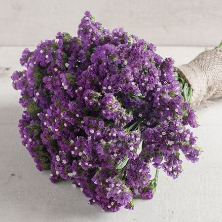 Sea Lavender, Attracting Beneficial Insects, Rose Seeds, Seed Pack, Cut Flower Garden, Plant Spacing, Beneficial Insects, Fresh Cut Flowers, Flower Display