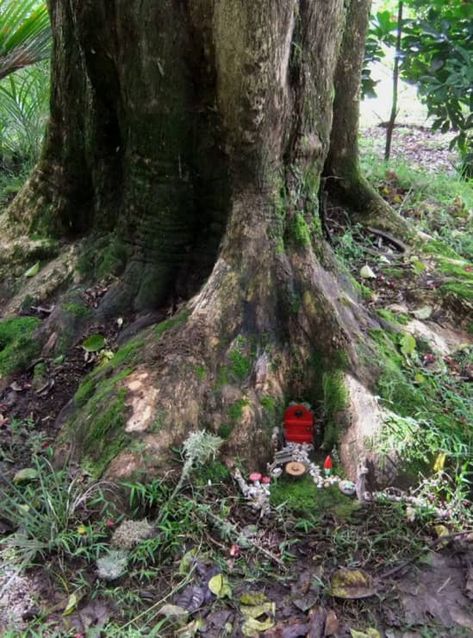 Post Image Fairy Garden Ideas Enchanted Forest, Tiny Fairy Garden, Large Fairy Garden, Trail Ideas, Tiny Gardens, Fairies Garden, Fairy Garden Ideas, Fairy Tree Houses, Tiny Fairy