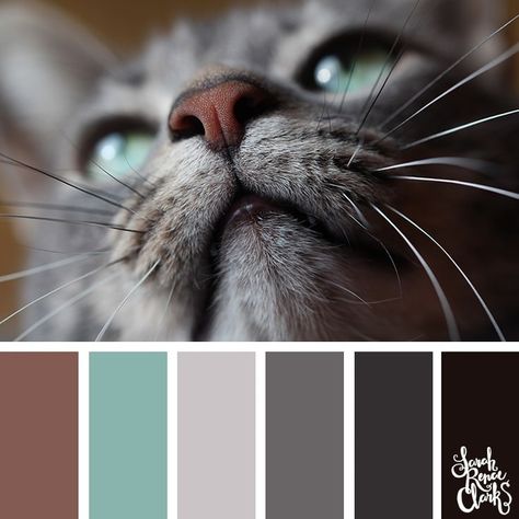 The Color Catalog By SRC on Instagram: “That green is beautiful!⁠ ⁠ #colorpalette⁠ #colourpalette⁠ #colorpallet⁠ #colorpallete⁠ #colorpalettechallenge” Sarah Renae Clark, Seasonal Printables, Adult Coloring Books Printables, Color Palette Challenge, Color Catalog, Colour Inspiration, Exotic Birds, Woodland Creatures, Colour Palettes