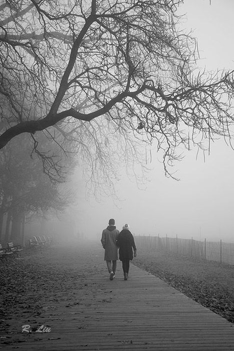 Fog Photography People, Mountain Pics, Landscape Black And White, Fog Photography, Magical Photography, Talking Picture, Foggy Day, Foggy Mountains, Mountain Pictures